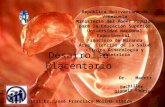 Desarrollo placentario