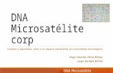 Dna microsatélite company