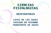 Transporte de gases Dr. Folco