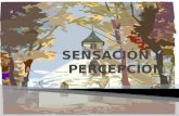 Sensación y percepción presentación (2)