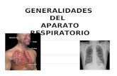 generalidades del aparato respiratorio