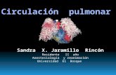 Circulacion  Pulmonar