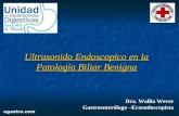 Ultrasonido Endoscopico en la Patología Biliar Benigna