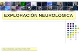 Exploración neurológica