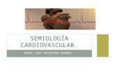 Semiologia cardiovascular