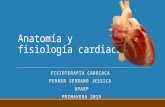 Anatomía y fisiologia cardiaca