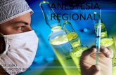 Anestesia regional