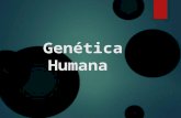 Genética humana..3