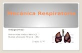 Trabajo diapositivas mecanica respiratoria