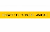 Hepatitis virales ok