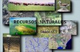 Recursos naturales (imágenes)