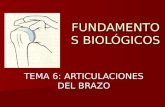 PresentacióN Tema 6 F.B. ARTICULACIONES DEL MIEMBRO SUPERIOR
