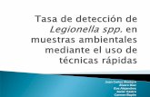 Tasa de detección de Legionella spp mediante el uso de técnicas rápidas Congreso Nacional Legionella 2015