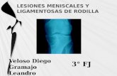 Lesiones meniscales y ligamentosas de rodilla