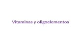 Vitaminas y oligoelementos