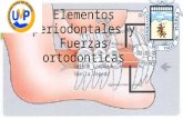elementos periodontales y fuerzas ortodonticas
