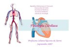 Medicina fisiologia cardiaco