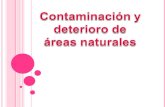 Contaminación y deterioro de áreas naturales