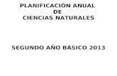 Planificacion anual ciencias naturales segundo año 2013