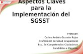 Aspectos Claves para la Implementación del SGSST