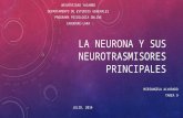 La neurona y los neurotrasmisores principales