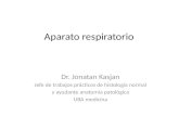 Aparato Respiratorio - Histología