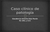 Caso clínico de patología 1