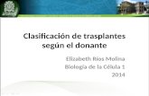 Clasificación de trasplantes según el donante