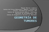 Geometría de tumores