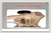 Patologias tejido blando