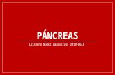 Páncreas y bazo (patología quirúrgica)