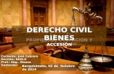 Derecho Civil Bienes: Propiedad-Ocupación-Accesión