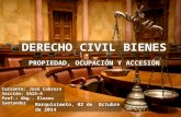 Propiedad- Ocupación-Accesión "Derecho Civil Bienes"