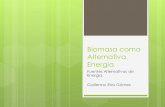 Biomasa como alternativa energía
