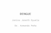 Dengue Clínico en Honduras