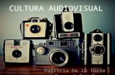 cultura audiovisual- tema 5