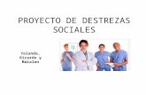 Proyecto Destrezas Sociales