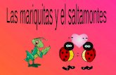 CUENTO ''EL SALTAMONTES Y LAS MARIQUITAS''