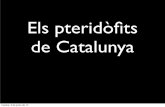 Els pteridòfits de catalunya (falgueres i equisets)