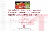 Model de prevenció del consum d’alcohol i drogues a l’empresa. Projecte EWA i altres experiències.
