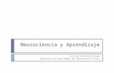 Neurociencia y Aprendizaje
