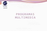 Programas multimedia