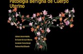 Patología Benigna de Cuerpo Uterino
