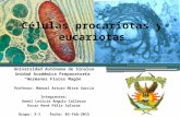 Células procariotas y eucariotas