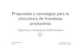 Silvicultura frondosas nobles. Presentación Derio 2011