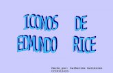 ICONOS DE EDMUNDO RICE