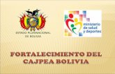 Esfuerzos de Bolivia en la Prevención del Embarazo Adolescente
