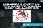 Proyecto chikungunya qqsm