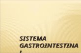 .::Clase No. 7::. Sistema Gastrointestinal