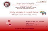 Fiestas Tradicionales de Venezuela - Raiza Sansonetti C.I. 24.984.069